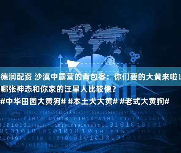 德润配资 沙漠中露营的背包客：你们要的大黄来啦！
哪张神态和你家的汪星人比较像？
#中华田园大黄狗# #本土犬大黄# #老式大黄狗#