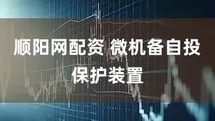 顺阳网配资 微机备自投保护装置